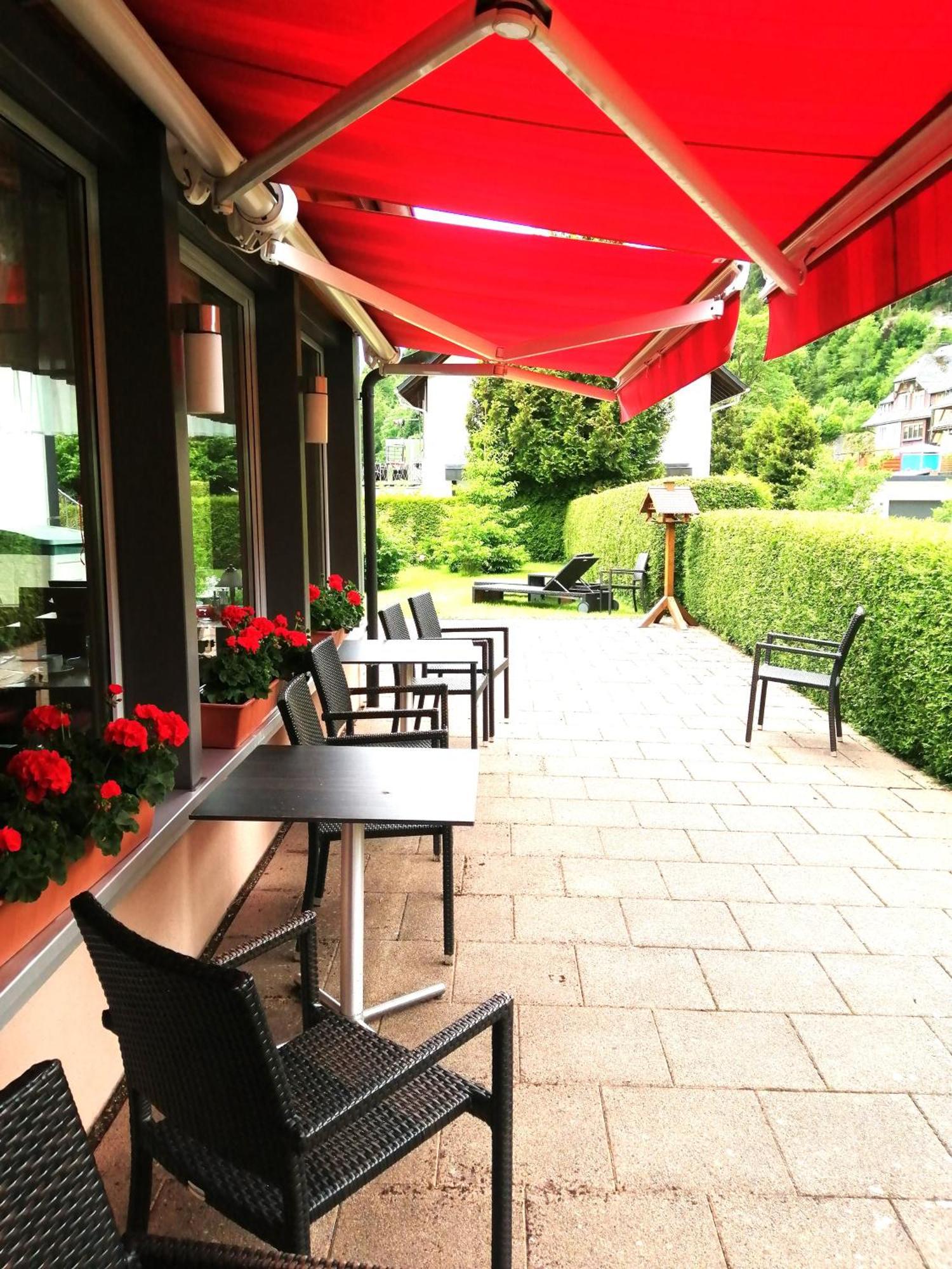 Hotel Am Kurpark トートモース エクステリア 写真