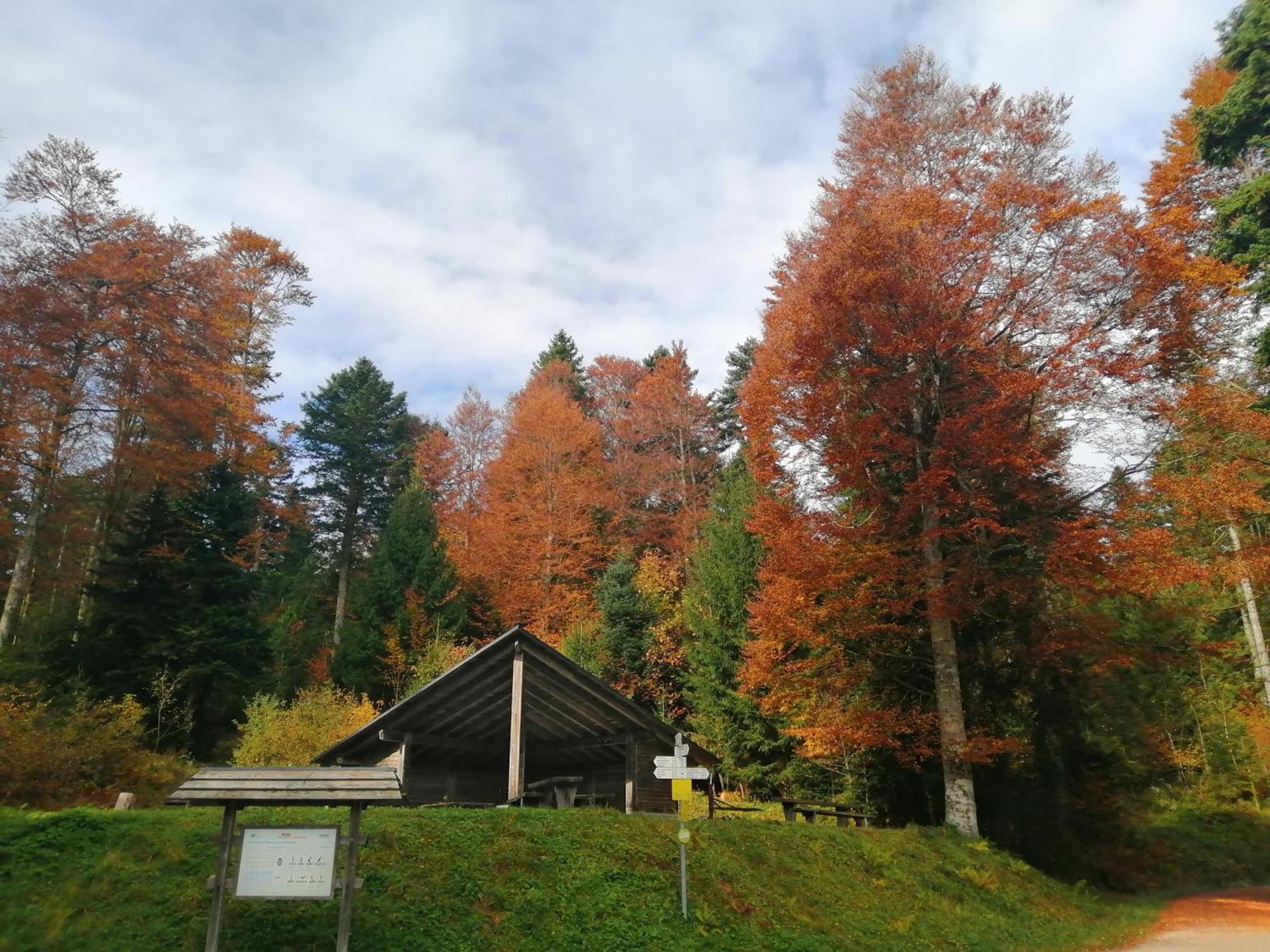 Hotel Am Kurpark トートモース エクステリア 写真